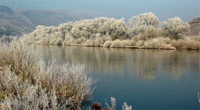 2007-12-22-rauhreif-mosel.jpg