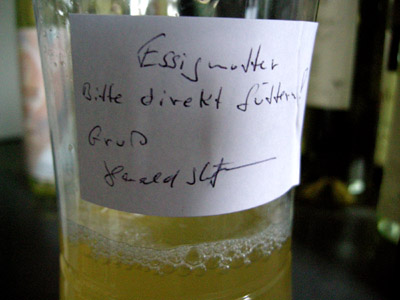 2008-01-30-essigmutter.jpg