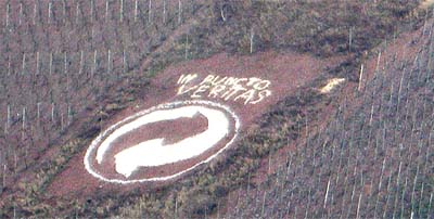 2008-02-24-weinbergskunst1.jpg