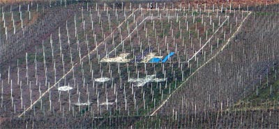 2008-02-24-weinbergskunst2.jpg