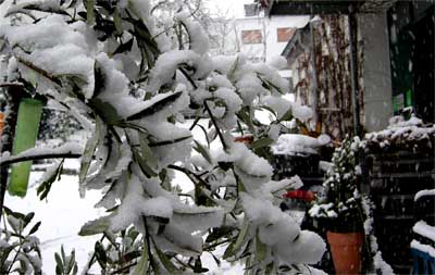 2008-04-07-schnee.jpg