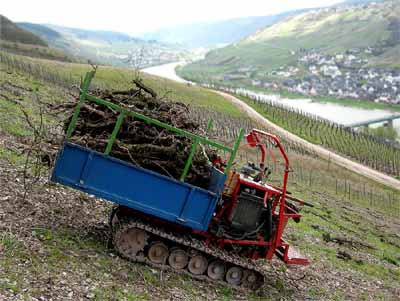 2008-04-19-raupe.jpg