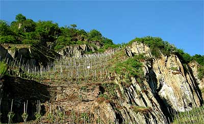 2008-05-11-felsformation.jpg