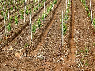 2008-05-29-erosion.jpg