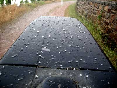 2008-05-29-hagel1.jpg