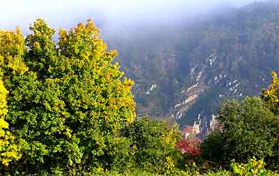 2008-09-26-laub1.jpg