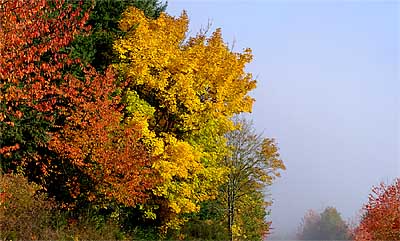 2008-10-07-herstfarben.jpg