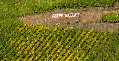 2008-10-12-goldlay.jpg