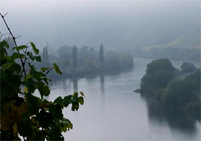 2008-10-18-nebel.jpg