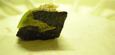 2008-10-21.jpg