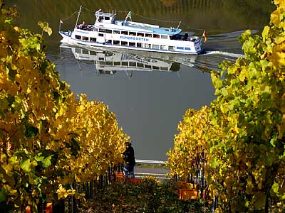 2008-10-23-schiff.jpg