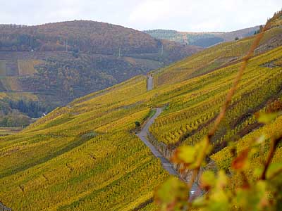 2008-10-27-herbst.jpg