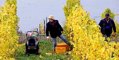 2008-10-27-kinderwagen.jpg