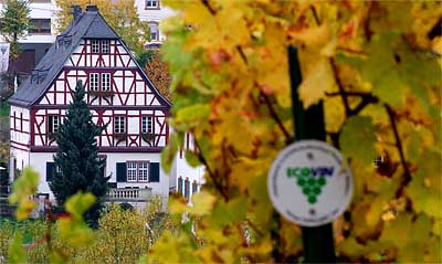 2008-10-29-haus.jpg
