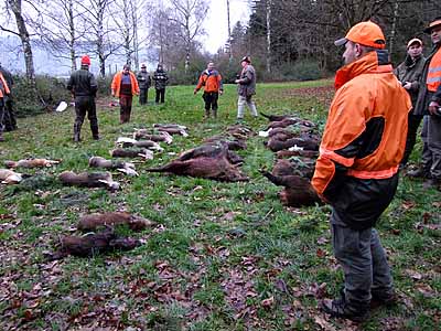 2008-12-12-strecke.jpg