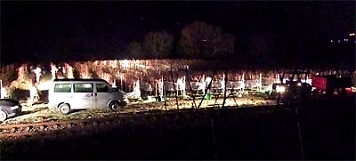 2008-12-30-eiswein.jpg