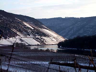 2009-01-06-moselbriedel.jpg