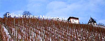 2009-01-06-punderich.jpg