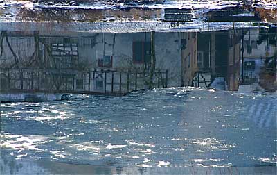 2009-01-10-eis.jpg