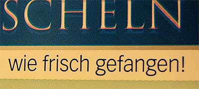 2009-02-09-muschelpackung.jpg
