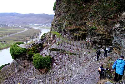 2009-02-23-treppchen.jpg