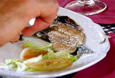 2009-04-16-fisch.jpg