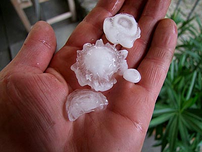 2009-05-26-hagel-1.jpg