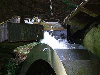 2009-06-02-muhlrad.jpg