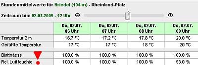 2009-07-02-blattnasse.jpg