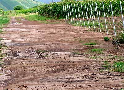2009-07-03-erosion.jpg