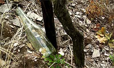 2008-07-11-flasche.jpg