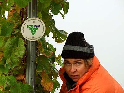 2009-10-19-kalt.jpg