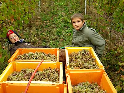 2009-10-23-kinder.jpg
