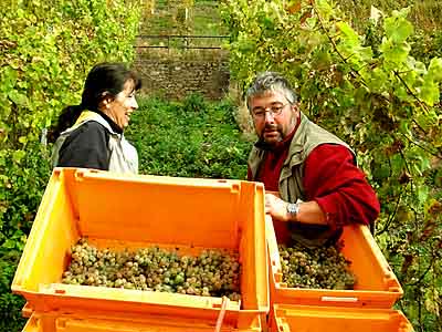 2009-10-27-raupe-fahren.jpg