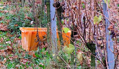2009-11-06-kiste.jpg