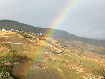 2009-11-24-regenbogen.jpg