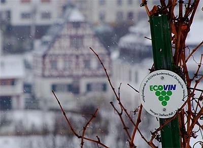 2009-12-19-ecovin.jpg