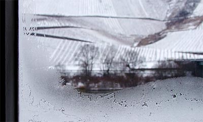 2009-12-19-eisblumen1.jpg