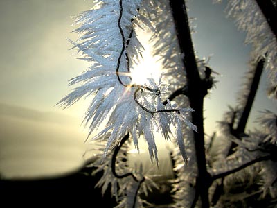 2009-12-24-eisnadel1.jpg