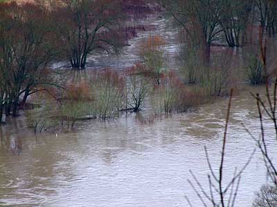 2009-12-31-hochwasser.jpg