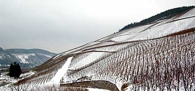 2010-01-11-schneepano.jpg