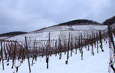 2010-01-31-goldlay.jpg