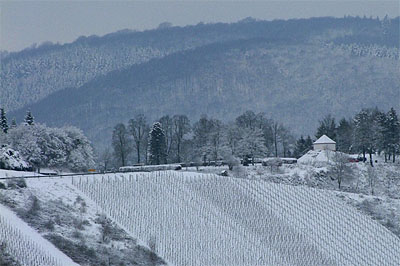 2010-01-31-reiler-hals.jpg