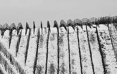 2010-02-15-schnee1.jpg