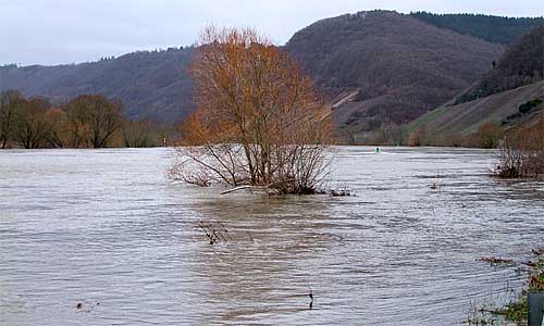 2010-02-28-hochwasser.jpg