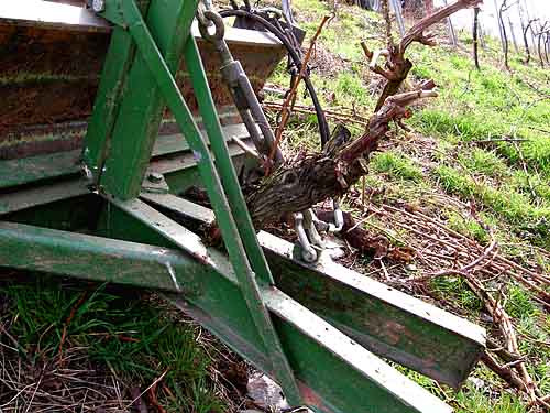2010-03-24-roden.jpg