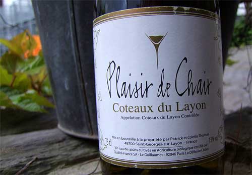 2010-04-29-plasier.jpg