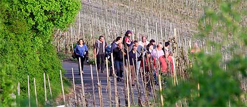 2010-04-29-weinberg.jpg