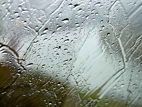 2010-03-20-regen.jpg