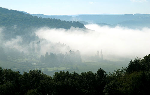 2010-09-22-nebel.jpg